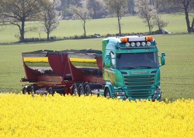Lastbilstransport med rapsfält i förgrunden